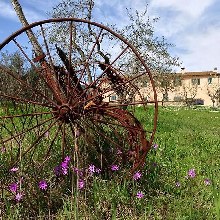 Agriturismo La Torricella Pistoya Exterior foto