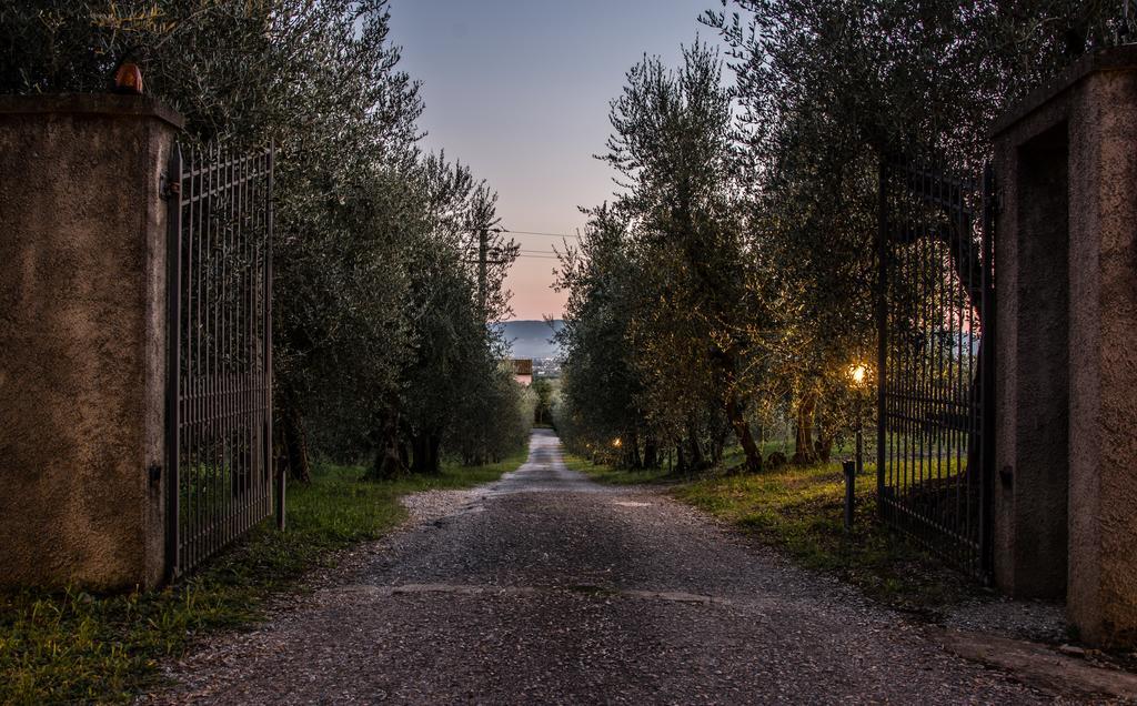 Agriturismo La Torricella Pistoya Exterior foto